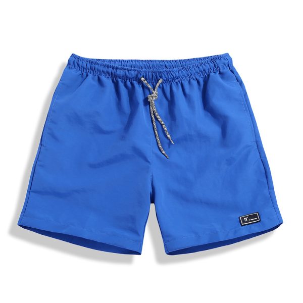 Boardshorts | Mens Daily 16″ Volley Boardshorts Boardshorts