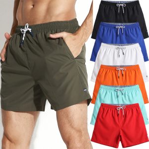 Boardshorts | Mens Daily 16″ Volley Boardshorts Boardshorts