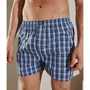 Shorts | Mens Classic Surf 20″ Check Walkshort Clothing Mens