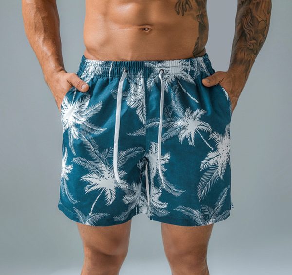 Volleys | Mens Dreamers 16″ Volley Boardshort Boardshorts Mens